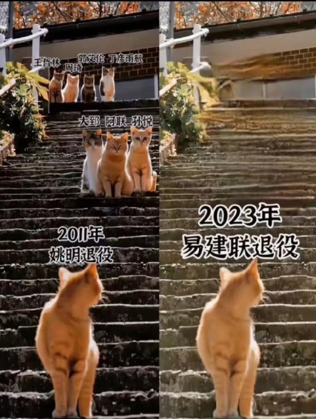 MK体育资讯-【男篮世界杯白皮书】篮球公务员与伪职业联赛